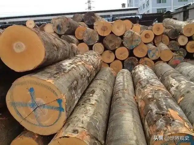 世界最贵的十种木材