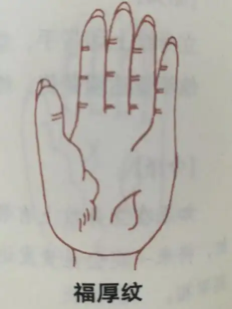 正宗古相书手相看手纹大全手纹知一生吉凶祸福中