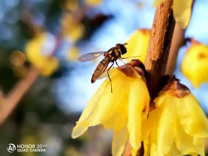 摄影不仅仅需要景深,更需要情深!