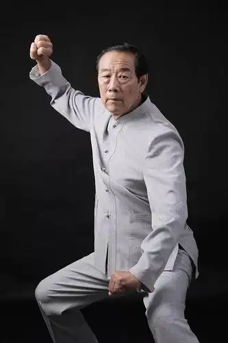 从招熟到懂劲丨王西安大师全球巡回之老架一路升级班暨第十六届高级