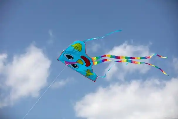 放风筝,放出你的想象力