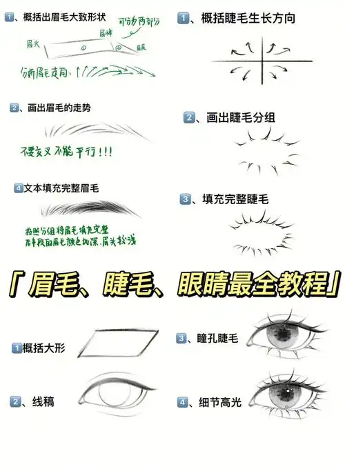 [郁金香r]眼睛画法,包含眉毛,睫毛教程[郁金香r]笔刷:肉骨茶常用