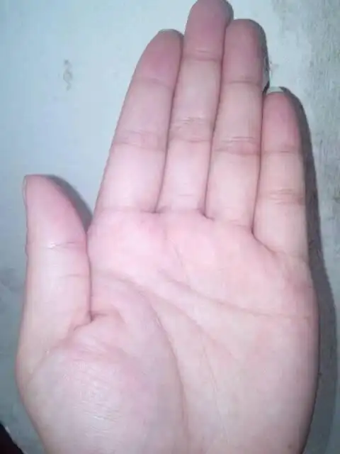 看手相女 女人富婆命的手相