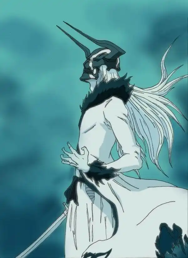 死神:为什么虚所应该具有的东西,在白一护身上都没有体现呢?