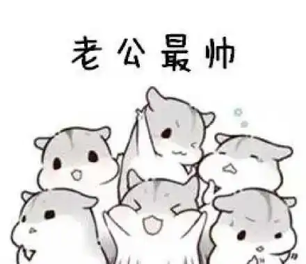 仓鼠表情包夸老公表情包合集老公最帅老公最棒