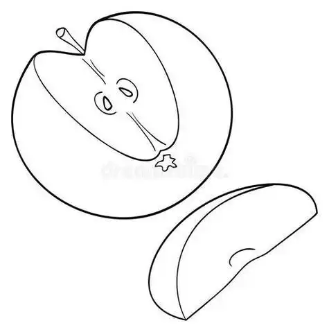 苹果切开里面简笔画