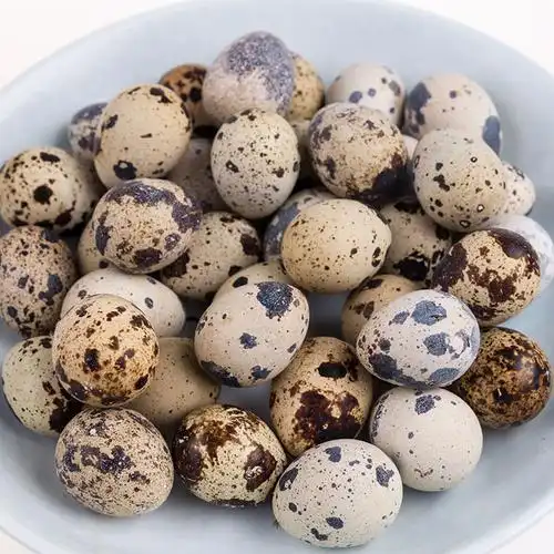 原生态新鲜鹌鹑蛋 健康营养美味 天然有机生鹌鹑蛋批发零售-中国盆栽