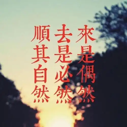 生活感悟:"风雨人生路,逍遥任我行"