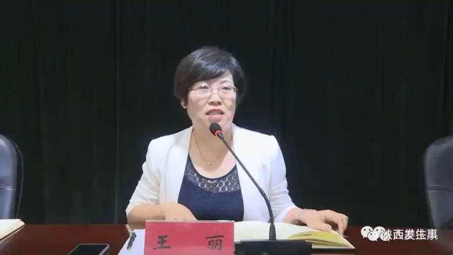 陕西王丽任扶风县委书记