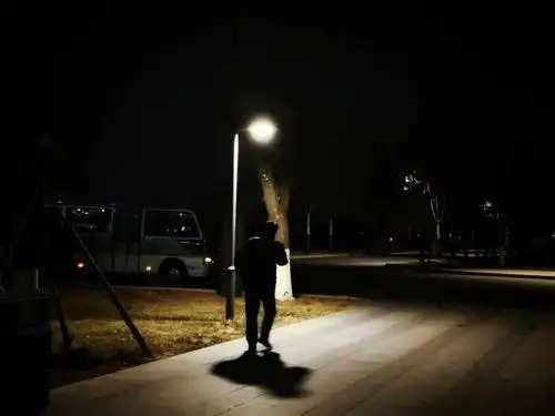 盏盏路灯下是他们匆匆走过的身影——有的同学一个人走在路上,但脑海