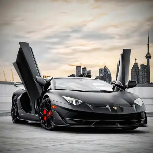 兰博基尼头像round two⛽