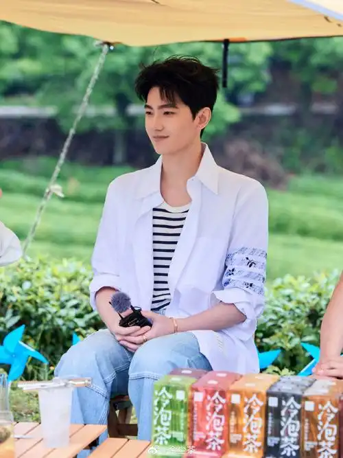 金尘茶杨洋溯源##享冷泡就选金尘茶##杨洋金尘茶品牌