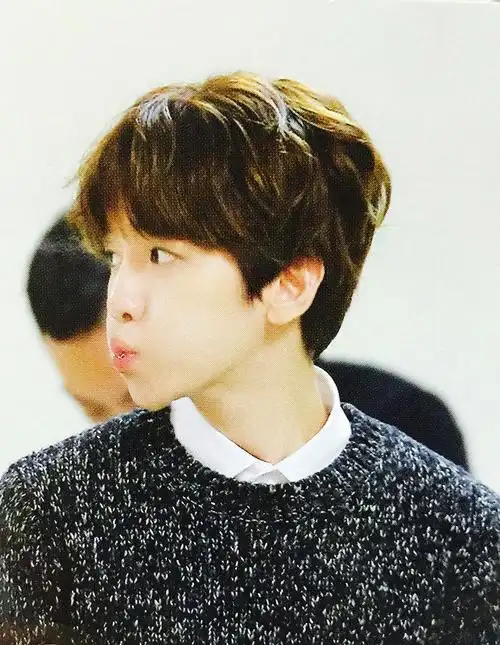 边伯贤 可爱的啵啵虎