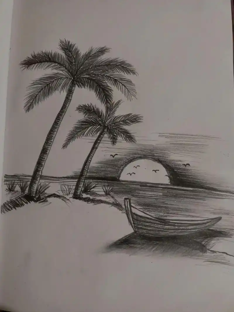 简笔画 909090椰子树 "夏天  椰子树  海滩  日落  海鸥  小船"