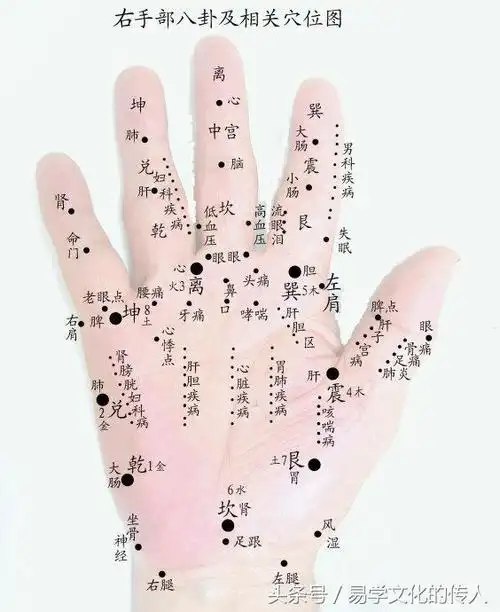 手相中八卦九宫蕴含的奥秘