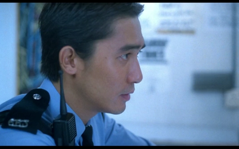 重庆森林-堆糖,美好生活研究所