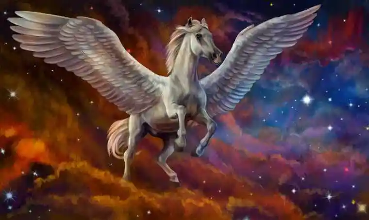 彩绘森林里的独角兽