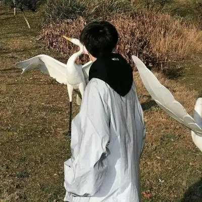 最新款超稀有温柔治愈男生头像