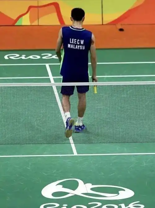 再见李宗伟我知道你仍会再一次出现