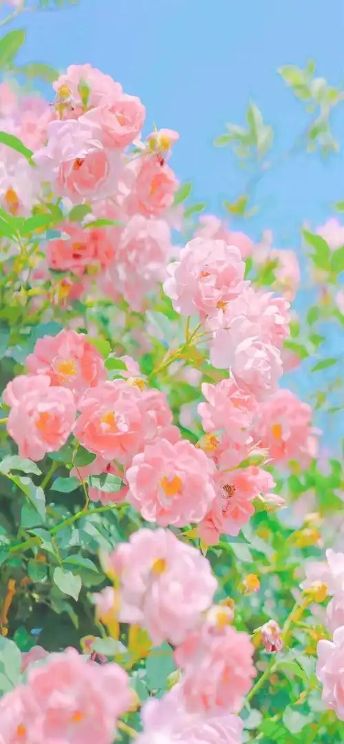 春天,她如一位温婉的画家,用柔和的笔触为大地涂上了一层新绿.