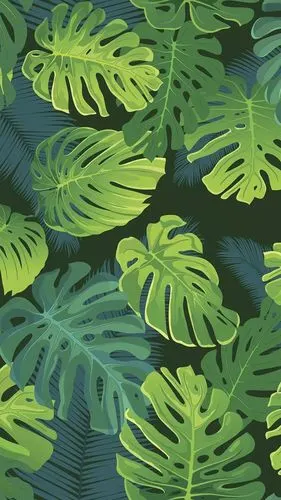 iphone8plus壁纸适配夏日的ins风壁纸