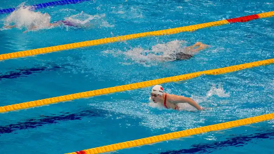 14届全运会游泳比赛