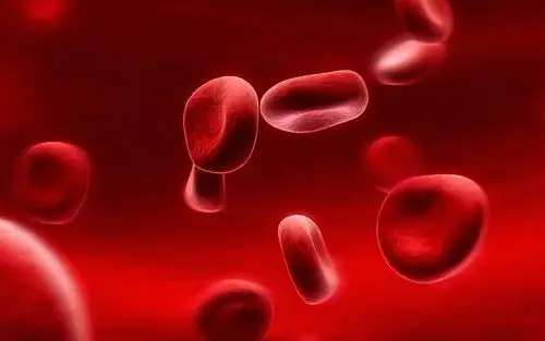 血液中的红细胞 640x960 iphone 4/4s 壁纸,图片,背景,照片