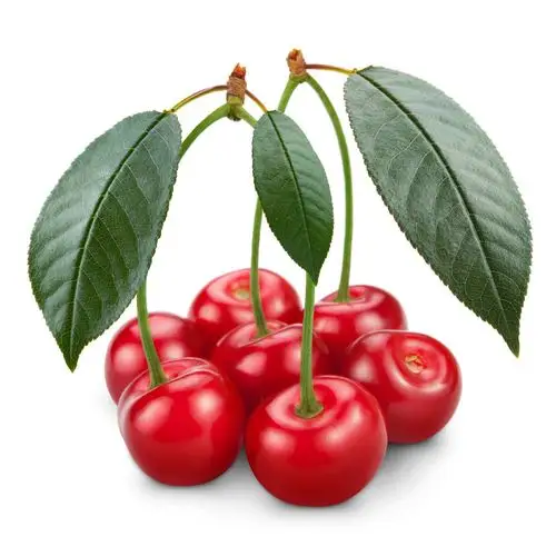 新鲜的樱桃水果高清图片 - 素材中国16素材网