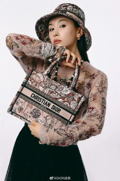 迪奥中国珠宝大使王子文##ladydior##diorbooktote