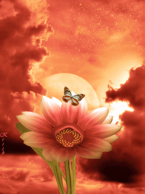 吾主题社区: aysun5 欢迎您来到我的吾主题!