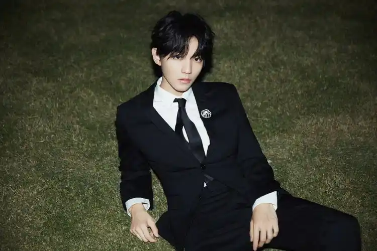 今日份出席活动的王俊凯,一身黑色西服,搭配钻石胸针,绅士范十足