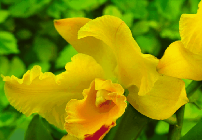 400_278gif 动态图 动图