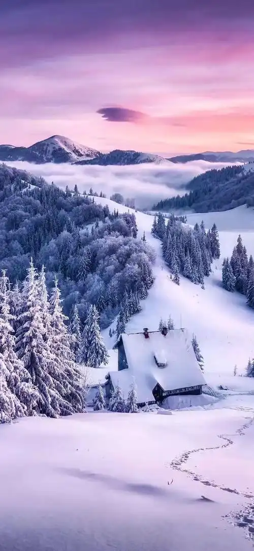 最好看的华为高清壁纸拿走不谢!