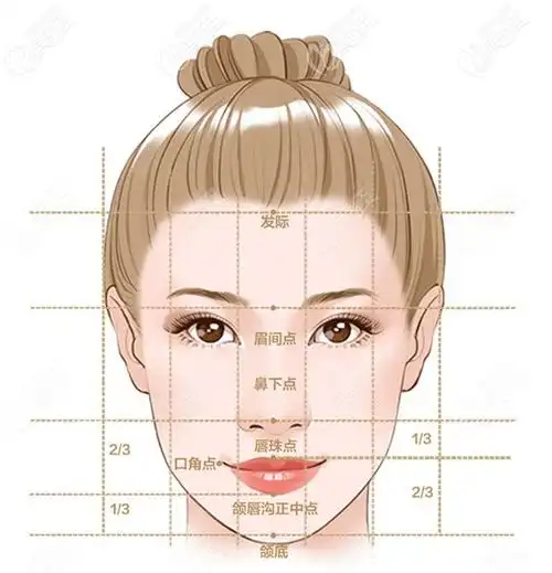 设计发际线的黄金比例图