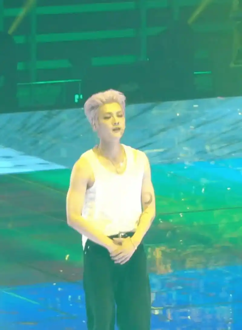 鹿晗肌肉# 来康康鹿晗演唱会上穿无袖时候的状态,手臂肌肉好好看!