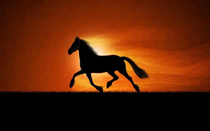 飞奔的骏马黑色剪影 640x1136 iphone 5/5s/5c/se 壁纸,图片,背景