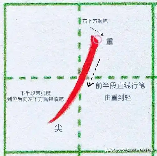 【笔画】楷书基本笔画——撇的正确写法,讲的太好了!_字体_弯度_自然