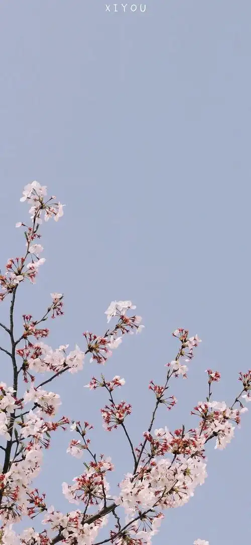 ios精品超清全屏壁纸