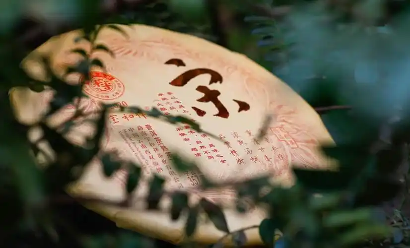 无限风光在宋韵