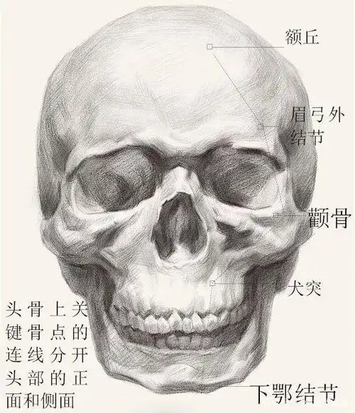 人物头像素描有什么绘画技巧吗?全面解析来啦!