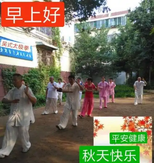 拳友们早上好,天天晨练身体好,吴式太极拳训练基地