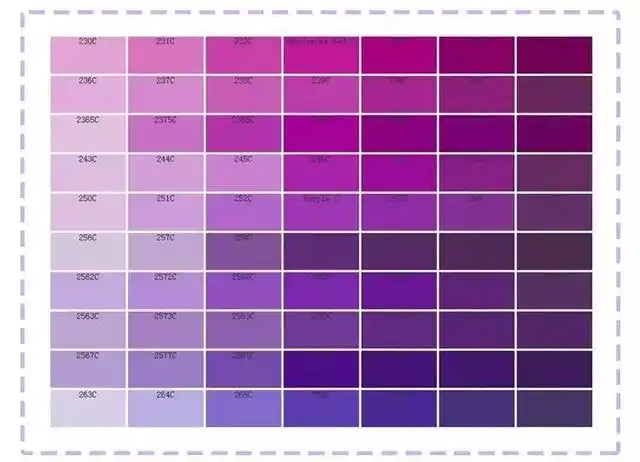 我们不想再当牛油果女孩啦_紫色