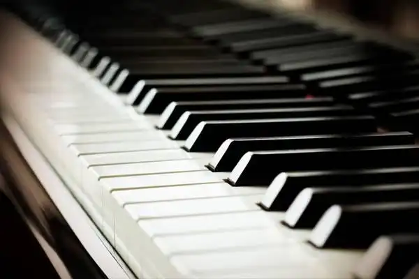 钢琴键盘钢琴键为什么只有黑白两色