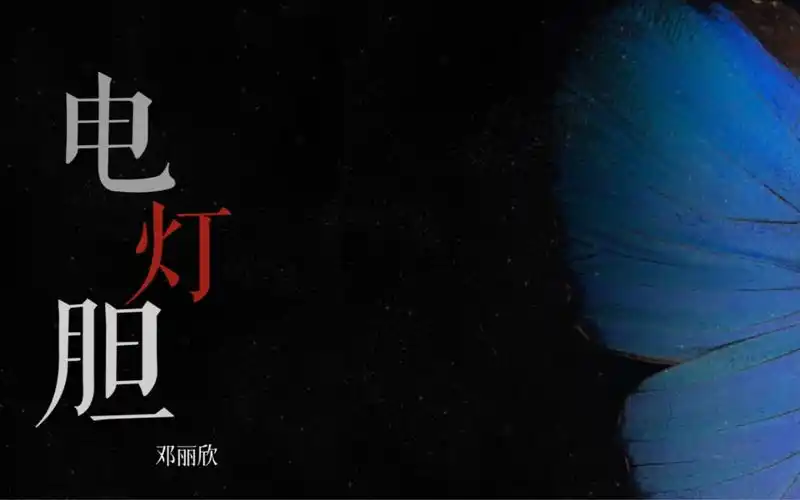 活动  动态歌词排版|电灯胆—邓丽欣