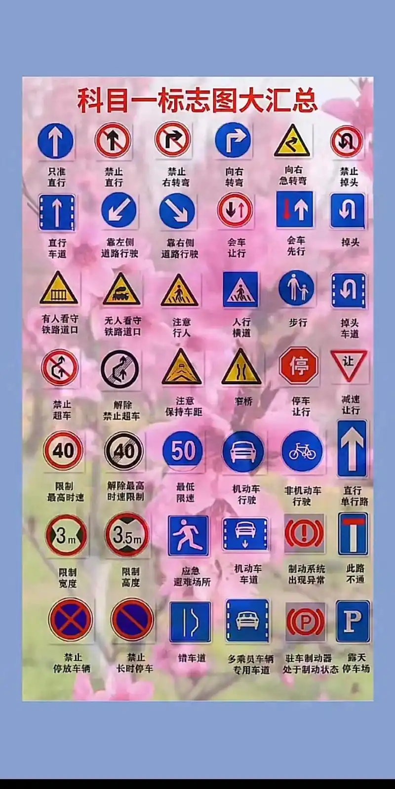 科目一#驾考标志图片# - 抖音