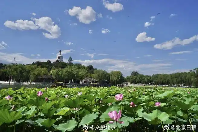 夏游北京正当时##北京市属公园园中园及博物馆暑期周一也开放