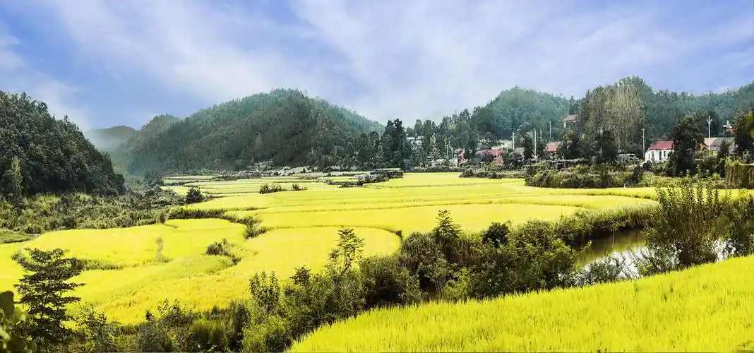 摄影小品:《丰收的季节》