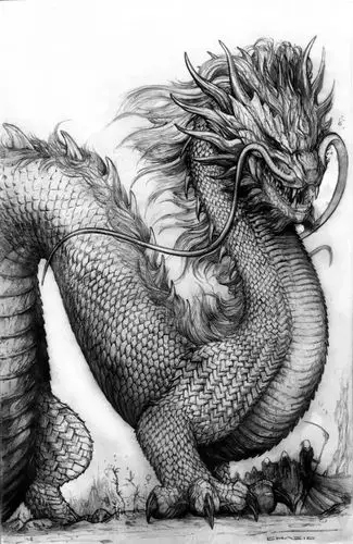 最威武的神话减肥的河马爆红网络粉红妹纸伤不起2