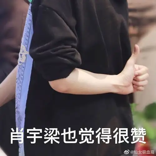 肖宇梁表情包超多图警告