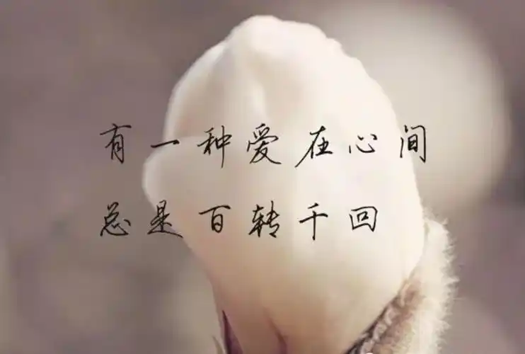 生命是一种感动